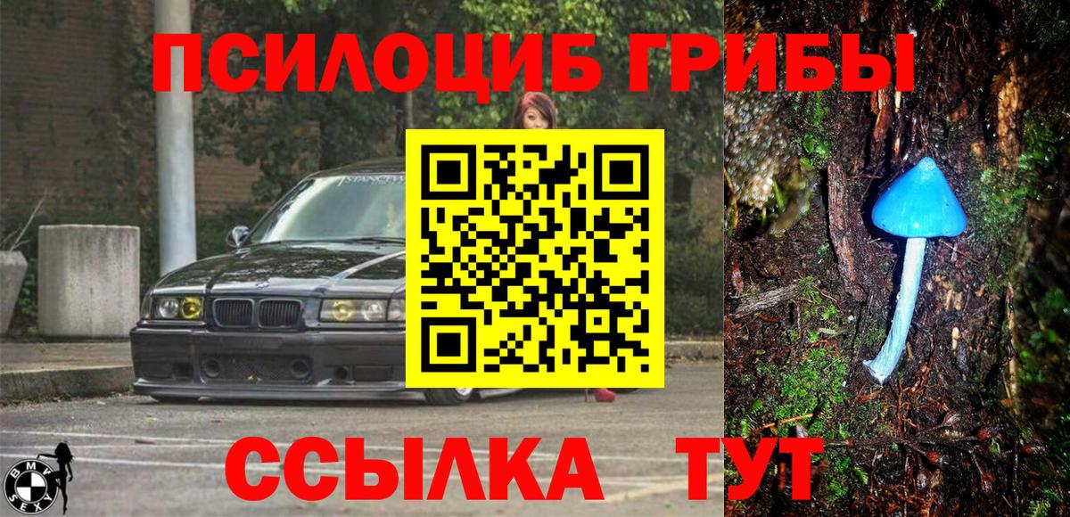 Артём  Псилоцибиновые грибы ЛСД  Вход с VPN 